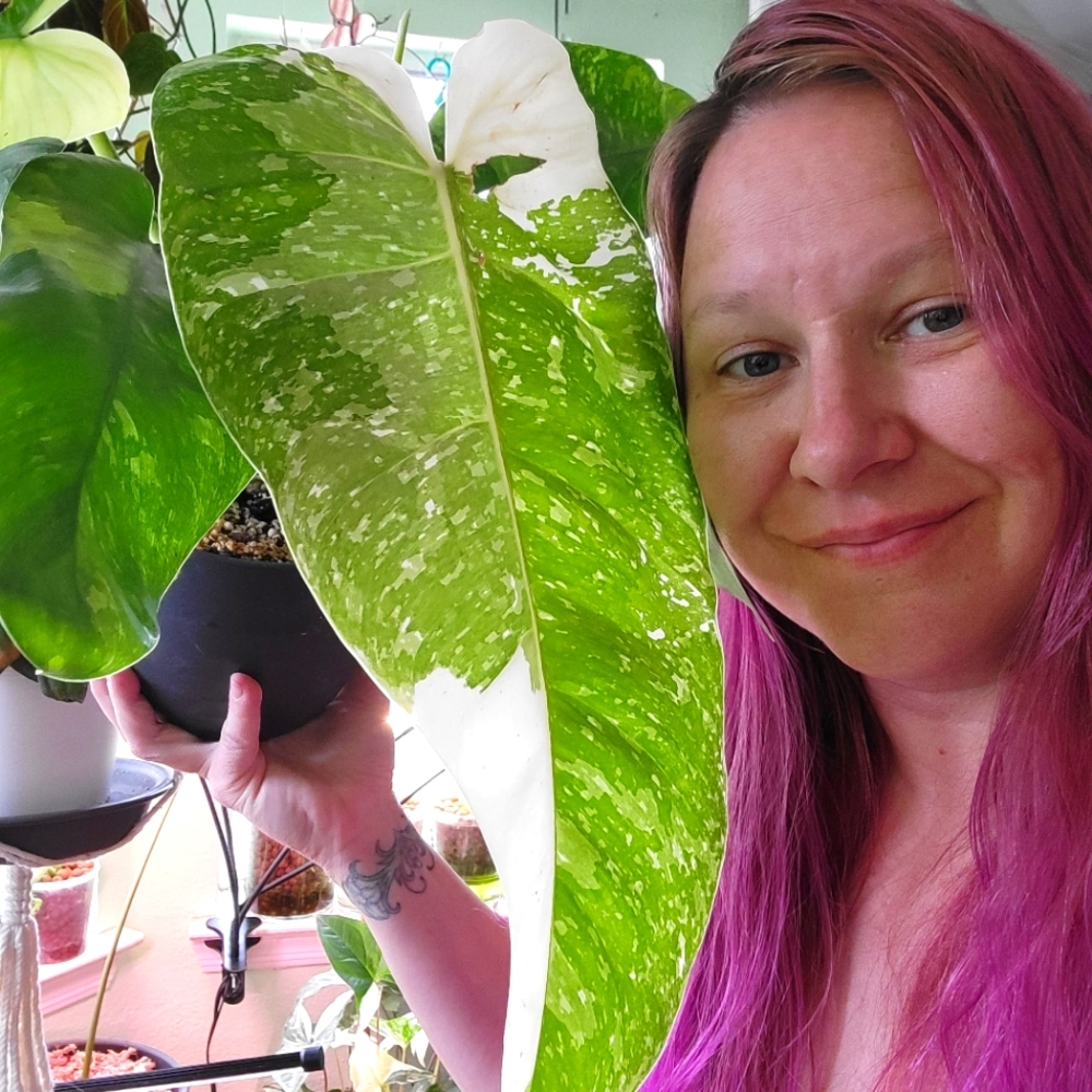 Meet your Posher, Tonya. VegasGrown